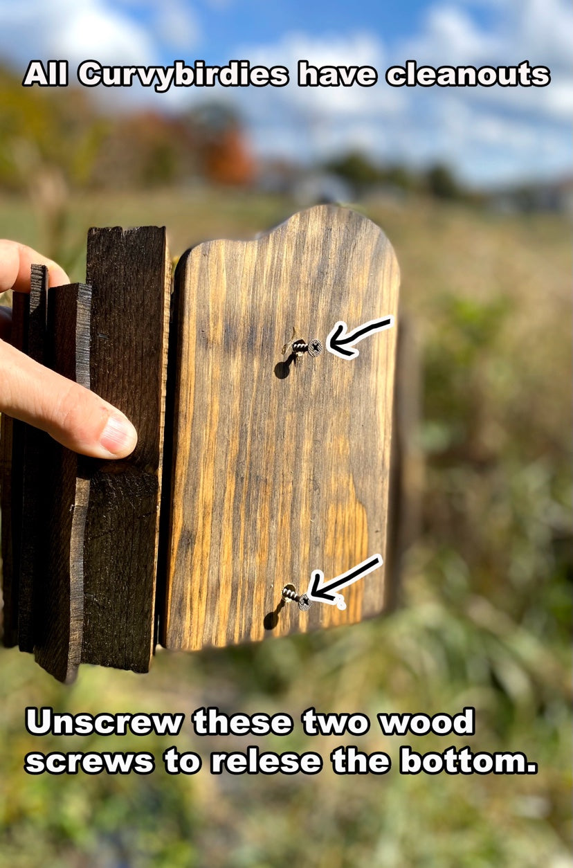 All Curvy Birdies have cleanouts - unscrew these two wood screws to release the bottom